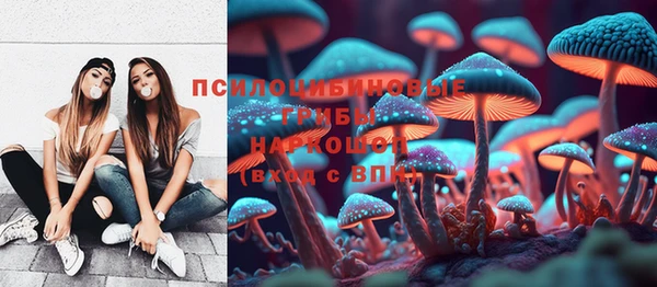 мдпв Арсеньев