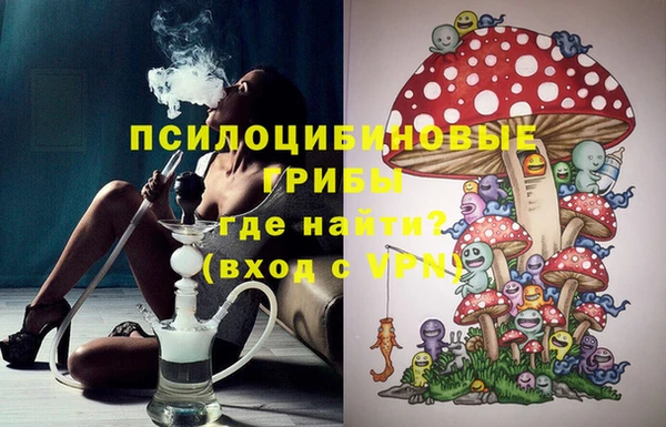 мдпв Арсеньев