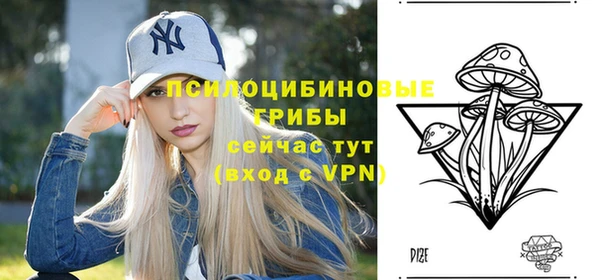 спиды Армянск