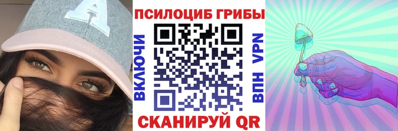 Галлюциногенные грибы Psilocybine cubensis  Бежецк 